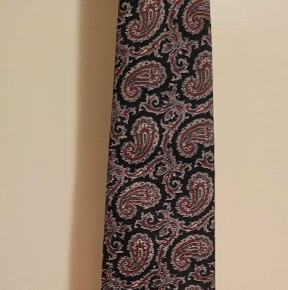 Source Unknown Man's Italian Silk  Paisley Tie - Black, Tan & Red.
